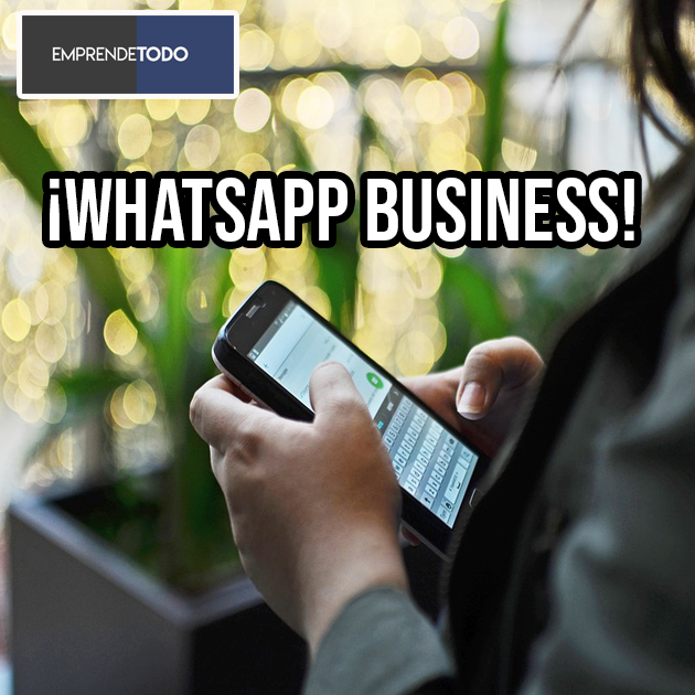 WhatsApp Business